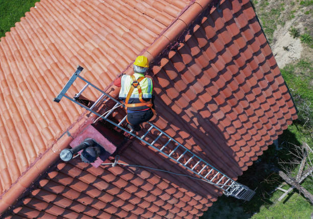 Best Steel Roofing  in Willmar, MN