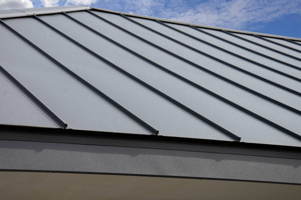 Best Solar Panel Roofing Installation  in Willmar, MN